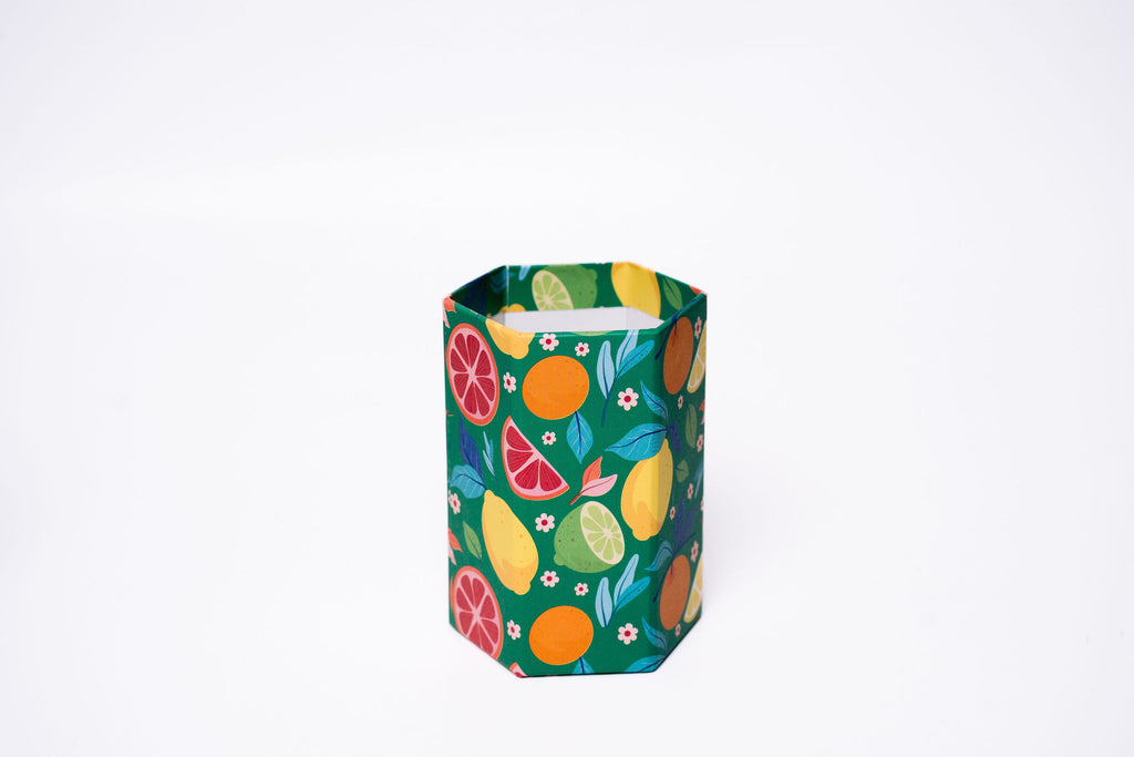 Citrus Fruits Cardboard Pencil Case