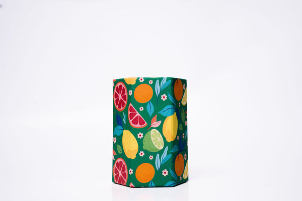 Citrus Fruits Cardboard Pencil Case