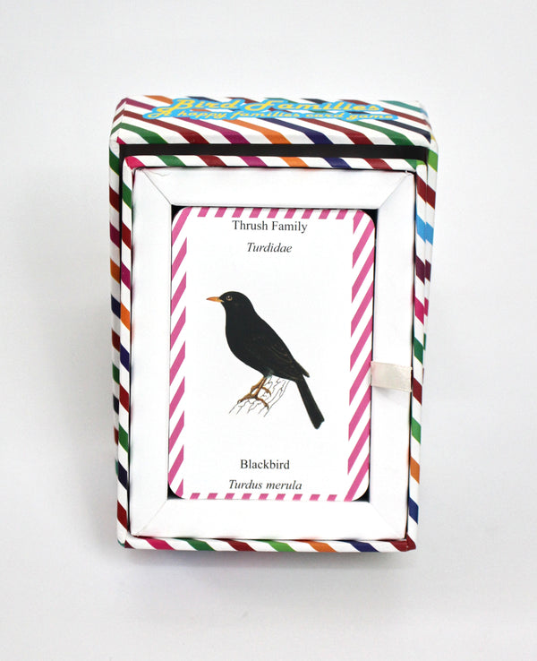 Bird Families Playing Card Box